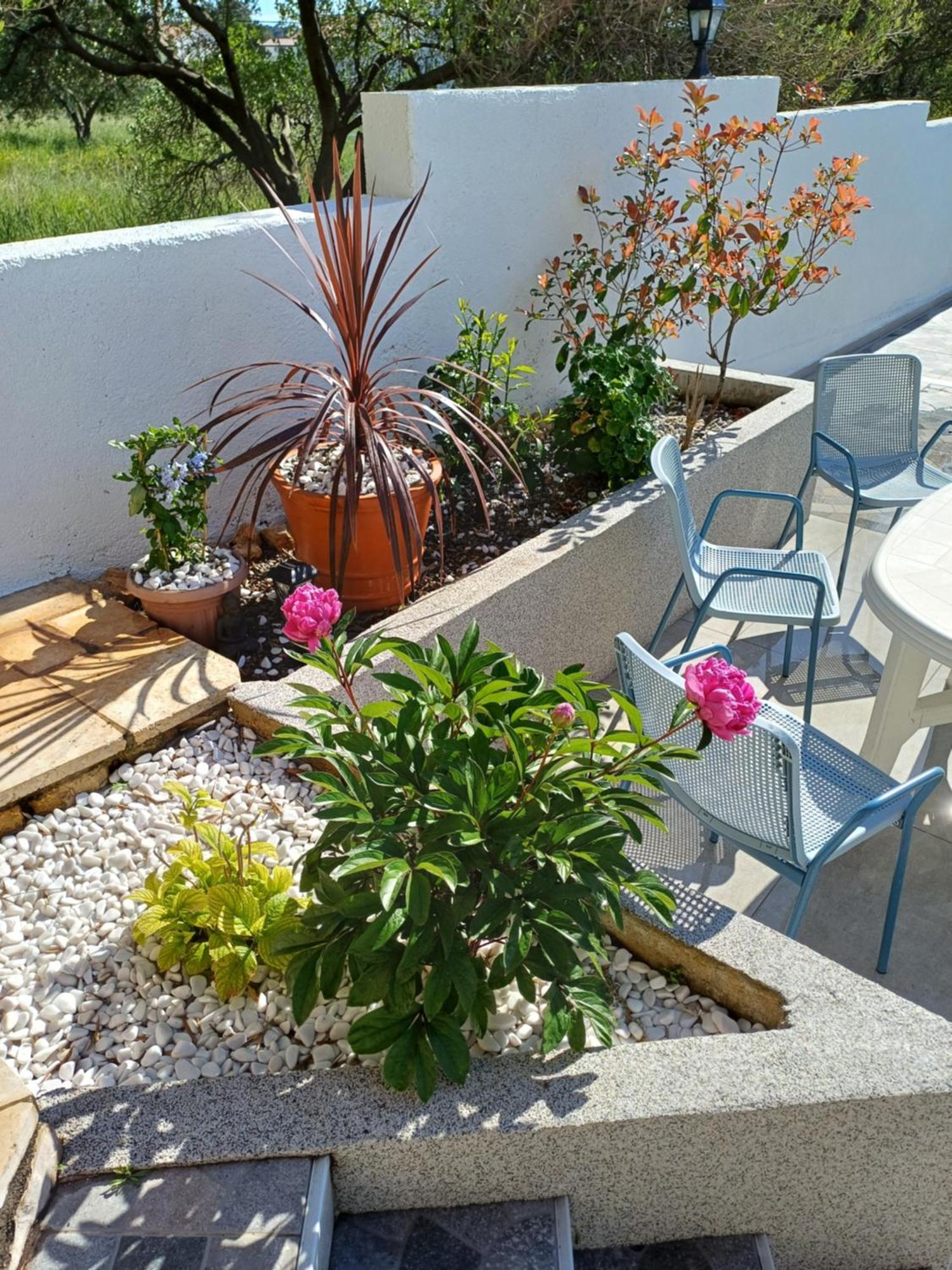 Casa Surya - Apartments With Sea View And Swimming Pool Barbat na Rabu Eksteriør bilde